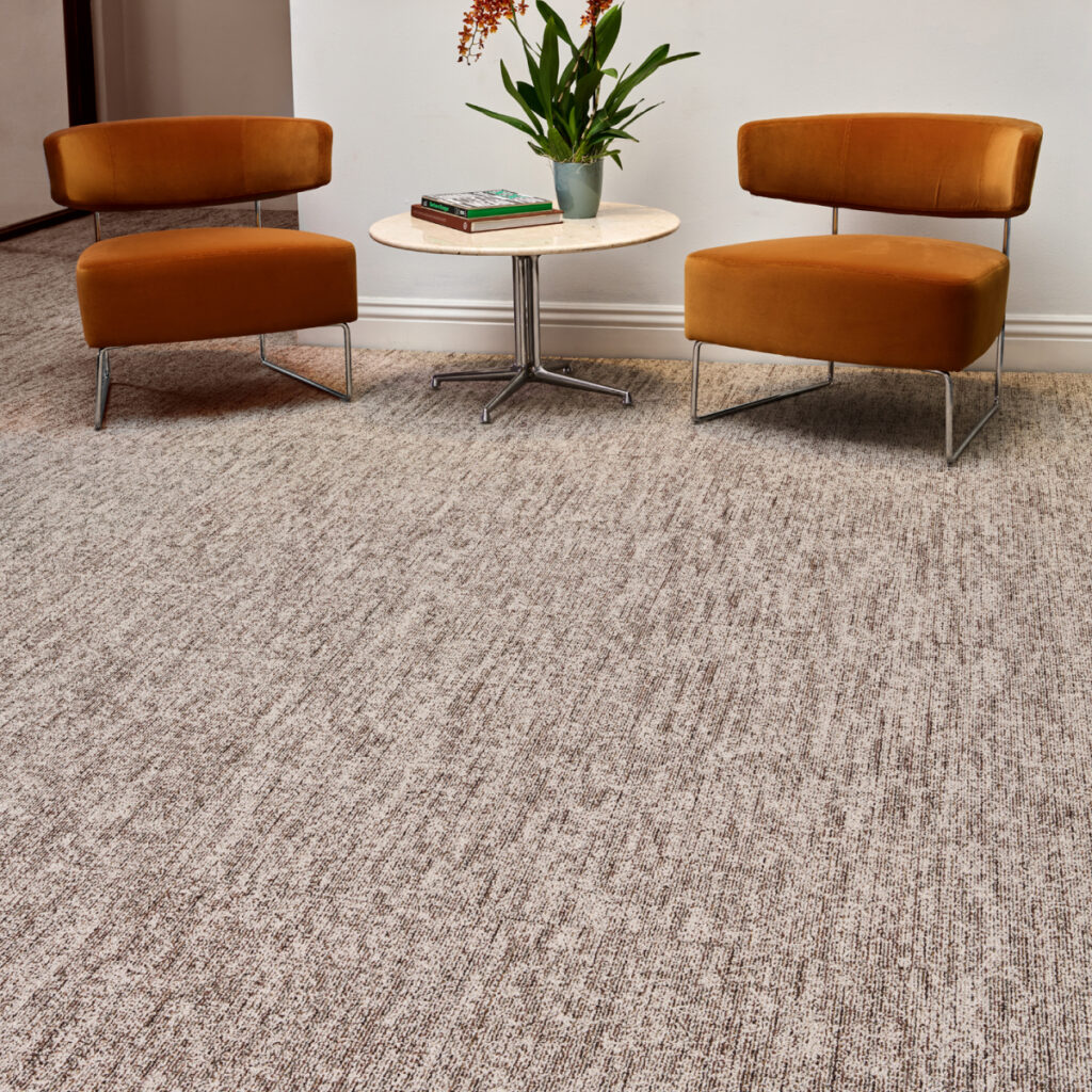 SOCAL_THE405_TOASTED_MONOLITHIC_HERO_1200x1200