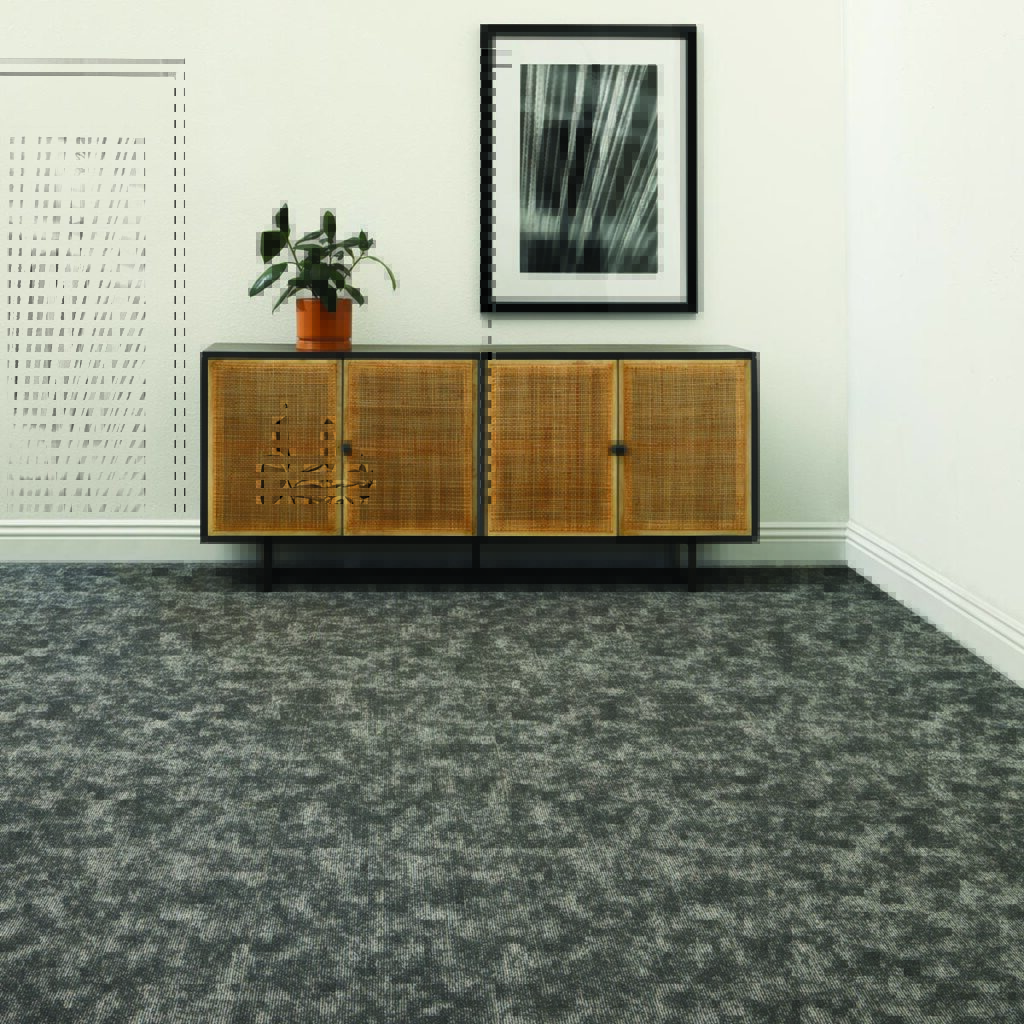 THE IE STEELY_MONOLITHIC